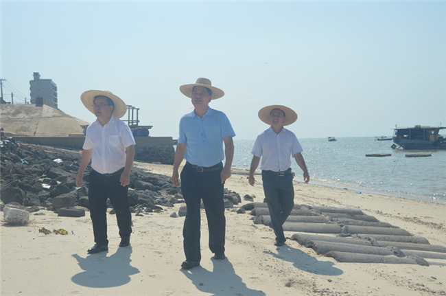 （黃志堅副縣長指出要確保在臺風多發(fā)期前建好南洪段海堤）.jpg