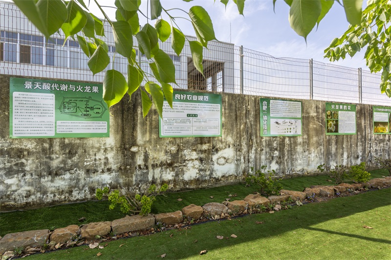 公司大門口外墻研學展示區(qū)2.jpg