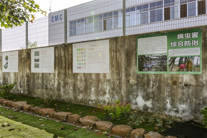 公司大門口外墻研學展示區(qū)3.jpg