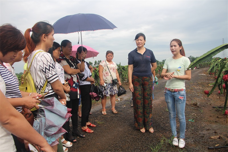遂溪縣婦聯(lián)牽頭到基地參觀學習.JPG