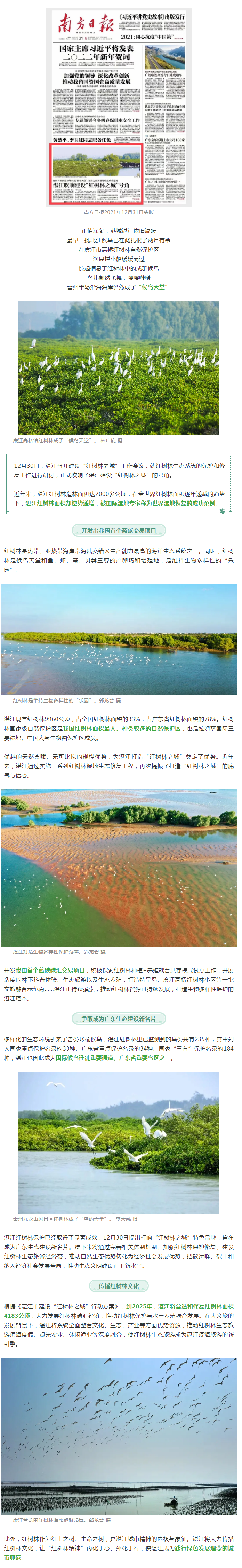 世界濕地恢復(fù)成功范例&hellip;&hellip;南方日?qǐng)?bào)頭版重磅聚焦湛江！.png