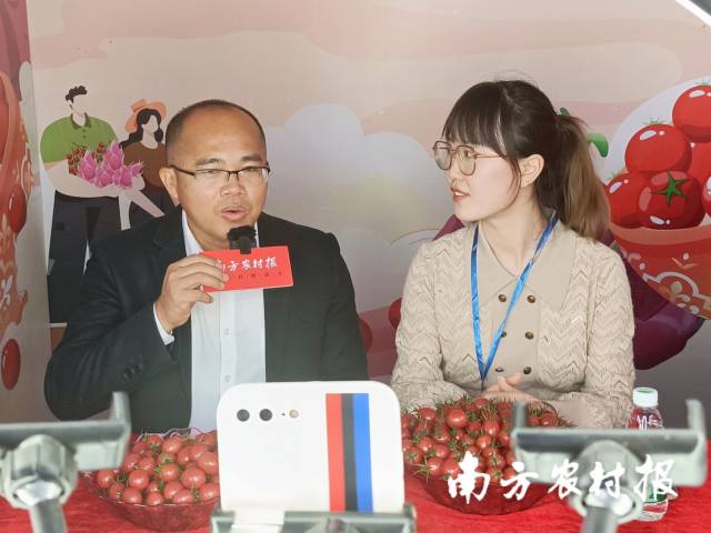 遂溪縣界炮鎮(zhèn)黨委副書記、鎮(zhèn)長岑志東在遂溪千禧果直播秀中介紹遂溪千禧果  南方農(nóng)村報(bào) 林健民 拍攝