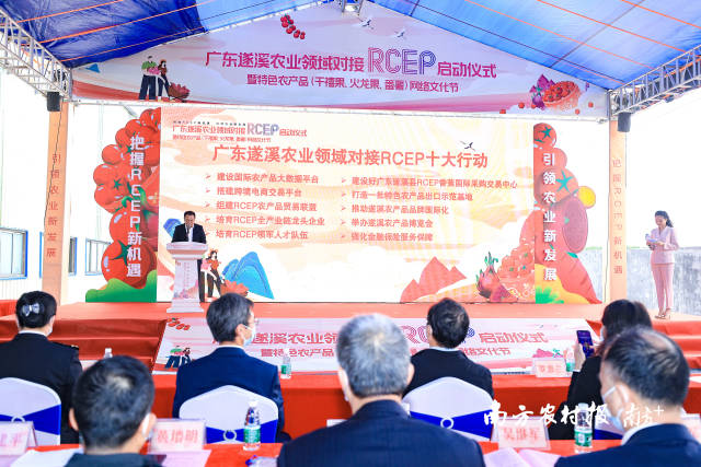 廣東遂溪農業(yè)領域對接RCEP十大行動  南方農村報 吳秒衡 拍攝