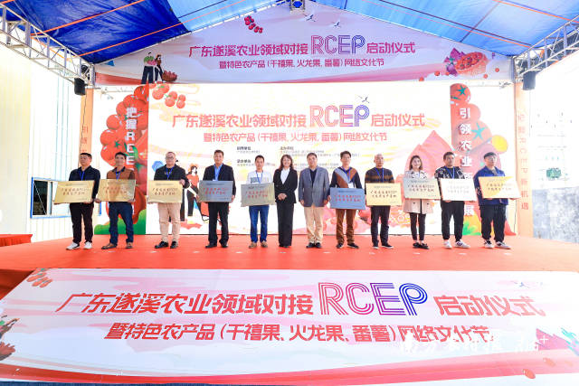 10個(gè)千禧果、番薯、火龍果、香蕉種植基地被授予“RECP生產(chǎn)基地”  南方農(nóng)村報(bào) 吳秒衡 拍攝