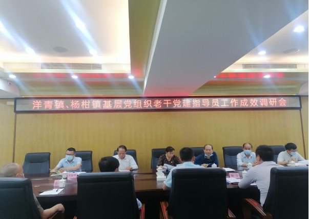 洋青鎮(zhèn)、楊柑鎮(zhèn)基層黨建老干指導(dǎo)員工作成效調(diào)研會(huì)新聞稿(1)42.png