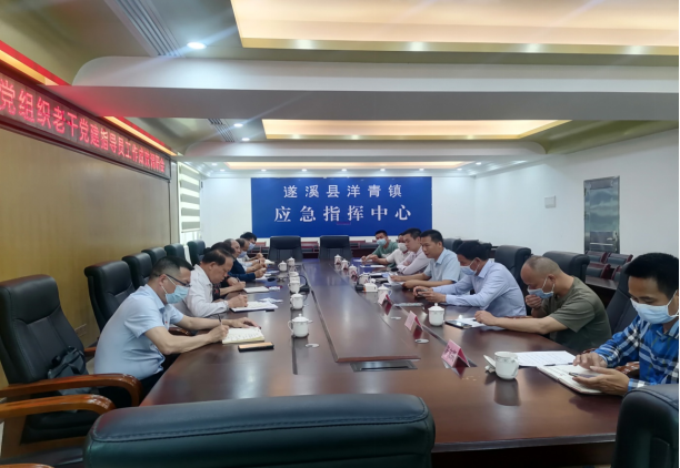 洋青鎮(zhèn)、楊柑鎮(zhèn)基層黨建老干指導(dǎo)員工作成效調(diào)研會(huì)新聞稿(1)269.png