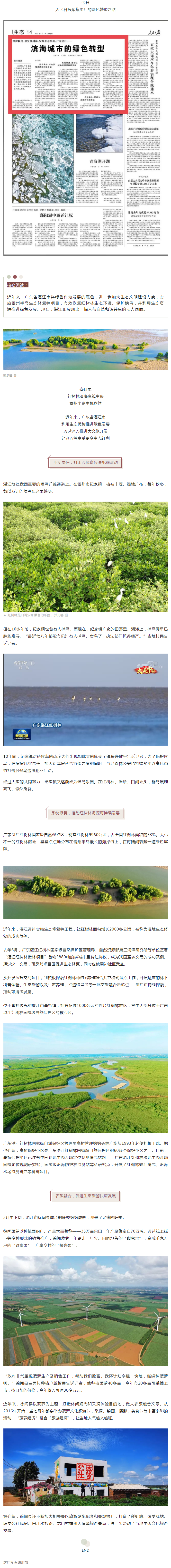 人民日?qǐng)?bào)頭條聚焦湛江：濱海城市的綠色轉(zhuǎn)型！.png