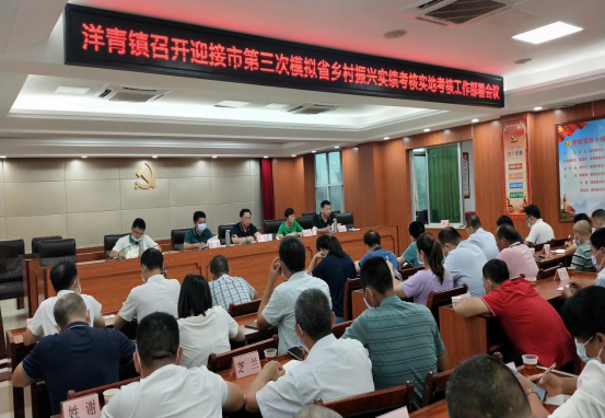 洋青：提升基層“三度”水平 、力促鄉(xiāng)村振興879.png