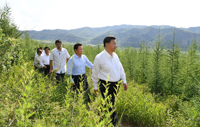 7月15日至16日，中共中央總書記、國家主席、中央軍委主席習近平在內(nèi)蒙古考察并指導開展“不忘初心、牢記使命”主題教育。這是15日下午，習近平在赤峰市喀喇沁旗馬鞍山林場林區(qū)，沿著崎嶇的護林小道察看林木長勢。