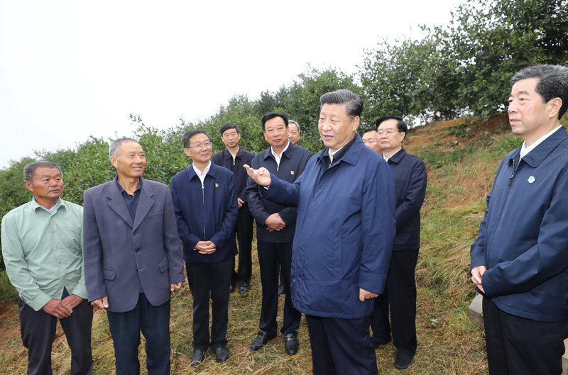 　　9月16日至18日，中共中央總書記、國家主席、中央軍委主席習(xí)近平在河南考察。這是17日上午，習(xí)近平來到信陽市光山縣槐店鄉(xiāng)司馬光油茶園，同正在勞作的村民和管理人員交流。 新華社記者 鞠鵬 攝