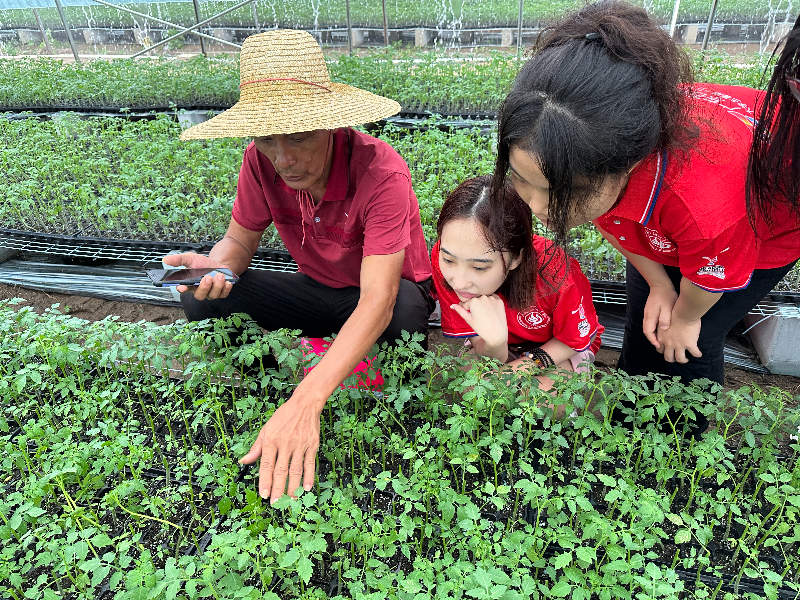 廣東石油化工學(xué)院新農(nóng)果蔬筑夢隊走訪界炮鎮(zhèn)圣女果種植基地.jpg
