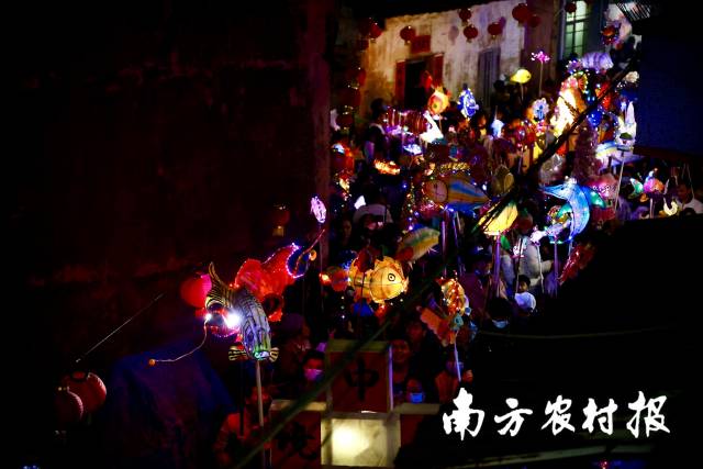夜幕降臨，北坡游魚流光溢彩。