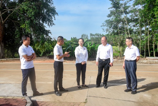 湛江市人大常委會(huì)黨組副書記、副主任陳云率隊(duì)到遂溪縣建新鎮(zhèn)車路頭村開展典型村創(chuàng)建調(diào)研工作