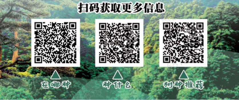 “有喜事來種樹，建設(shè)綠美遂溪”倡議書1.png