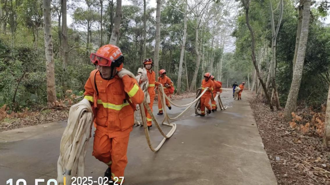 斬獲三大獎(jiǎng)項(xiàng)！遂溪縣專業(yè)森林消防隊(duì)在全省大比武中創(chuàng)佳績(jī)6.png