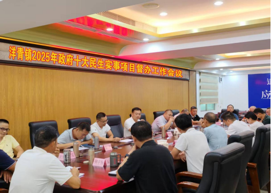 洋青鎮(zhèn)人大：召開2025年政府十大民生實事項目督辦工作會議