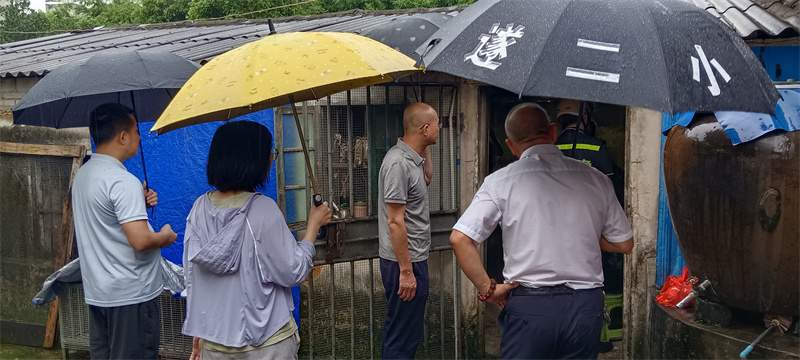 防臺風(fēng)（大黨委）.jpg