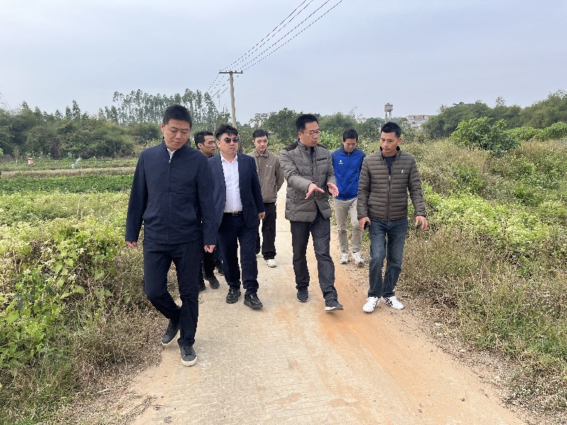 圖2：駐鎮(zhèn)工作隊(duì)會(huì)同華南農(nóng)業(yè)大學(xué)、廣州鐵路職業(yè)技術(shù)學(xué)院專家開展花生種植實(shí)地教學(xué).jpg