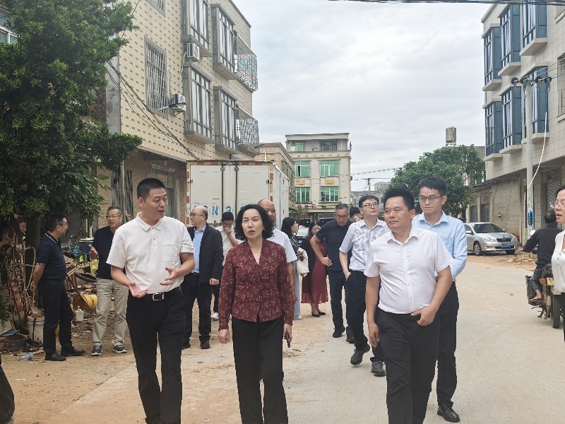 圖2：越秀區(qū)政協(xié)郭環(huán)主席深入樂民村開展實(shí)地調(diào)研.jpg