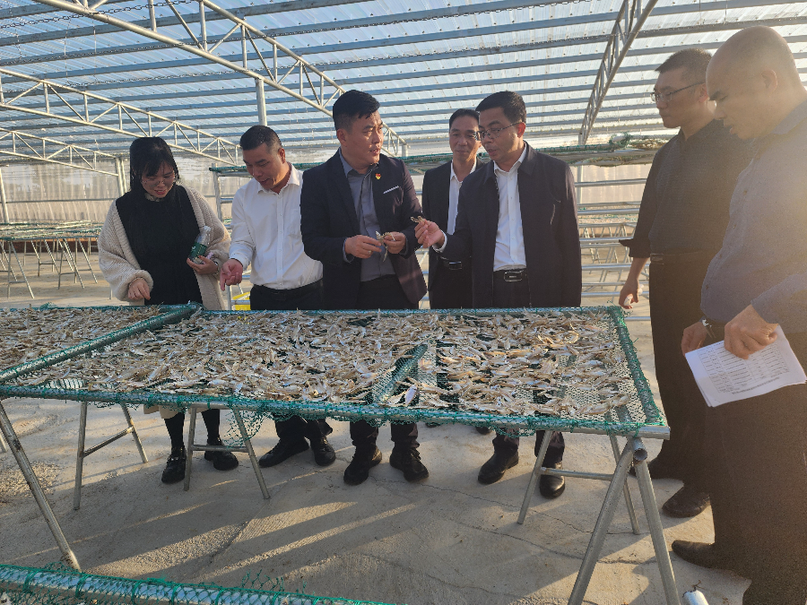 黃彥彤率隊(duì)開展賦能紅色傳承與產(chǎn)業(yè)發(fā)展調(diào)研