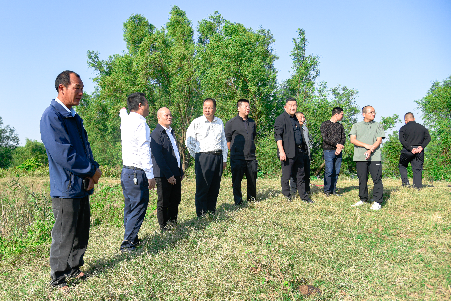 縣人大常委會(huì)開展紅樹林營(yíng)造修復(fù)視察工作
